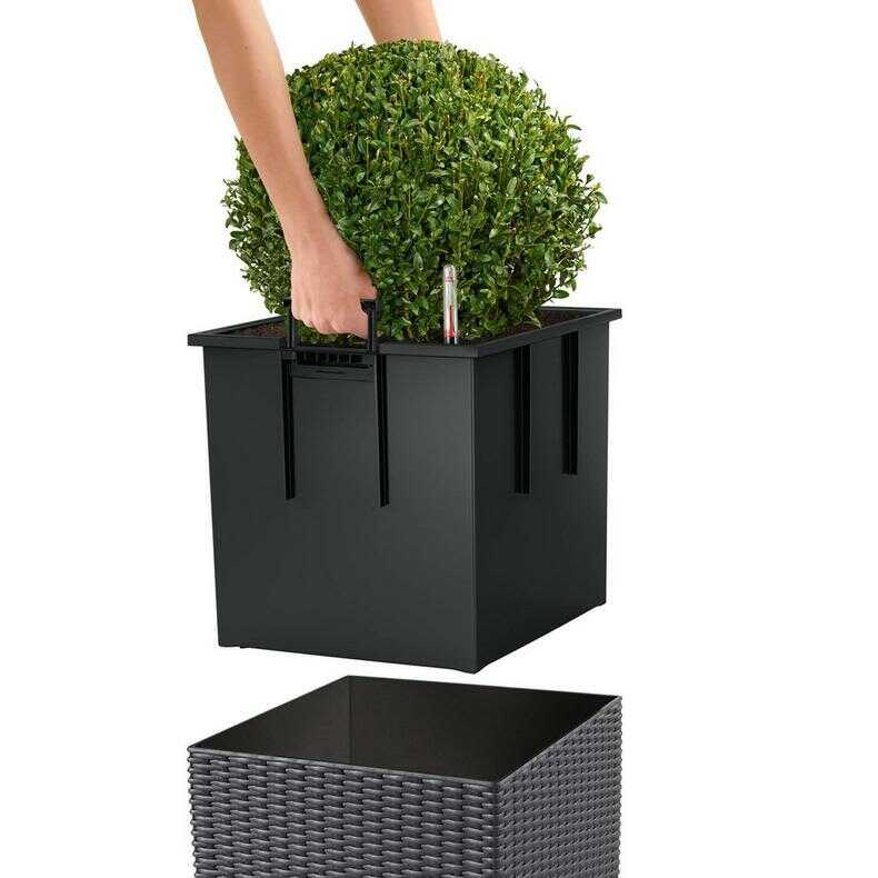 Glastra CUBE-Cottage-Topothethisi-Doxeiou-Fyteysis